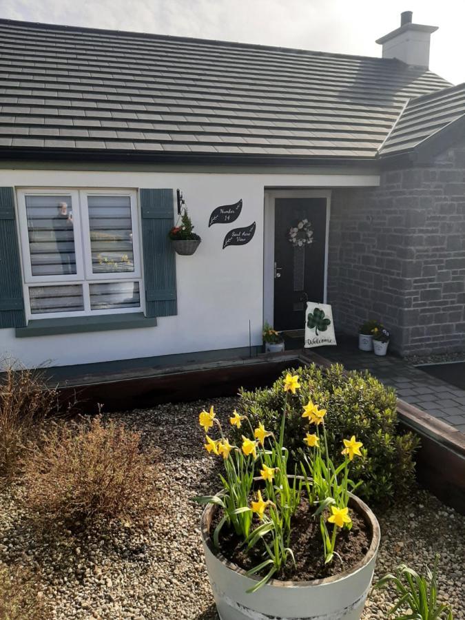 Bed and Breakfast Number 14 Downpatrick Exterior foto