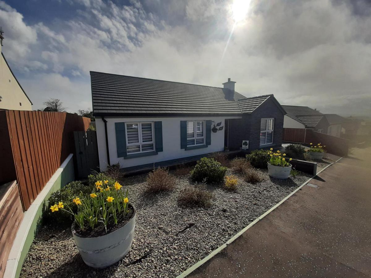 Bed and Breakfast Number 14 Downpatrick Exterior foto